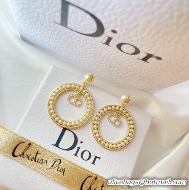 Well Crafted Dior Earrings CE6477