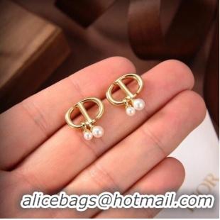 Luxury Classic Dior Earrings CE6480