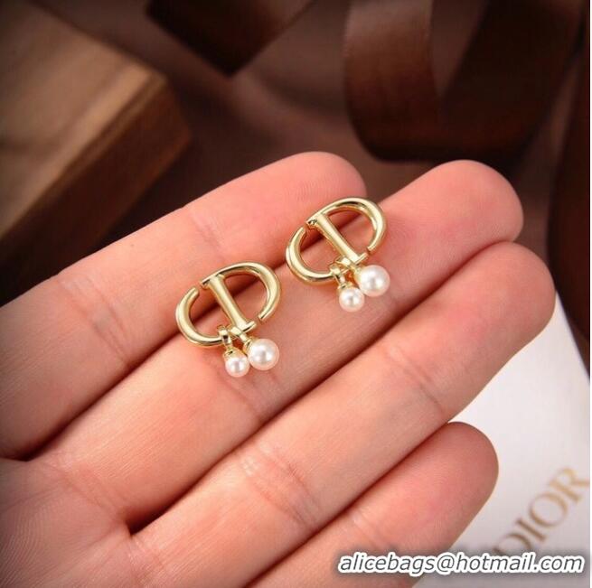 Luxury Classic Dior Earrings CE6480