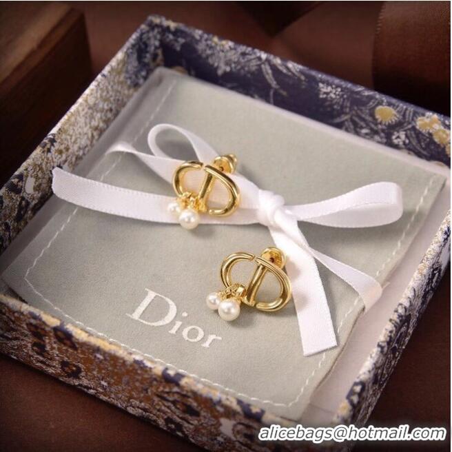 Luxury Classic Dior Earrings CE6480