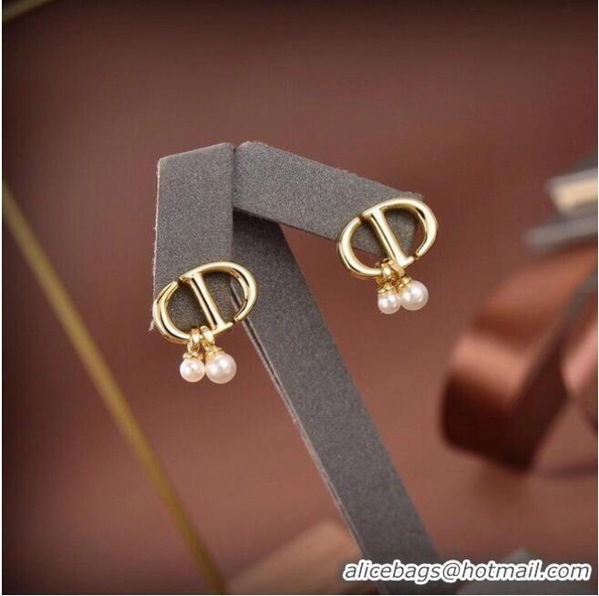 Luxury Classic Dior Earrings CE6480