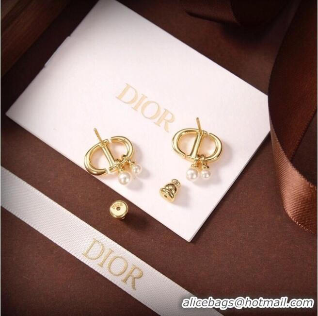 Luxury Classic Dior Earrings CE6480