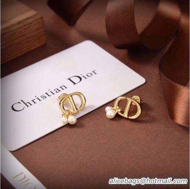 Luxury Classic Dior Earrings CE6480