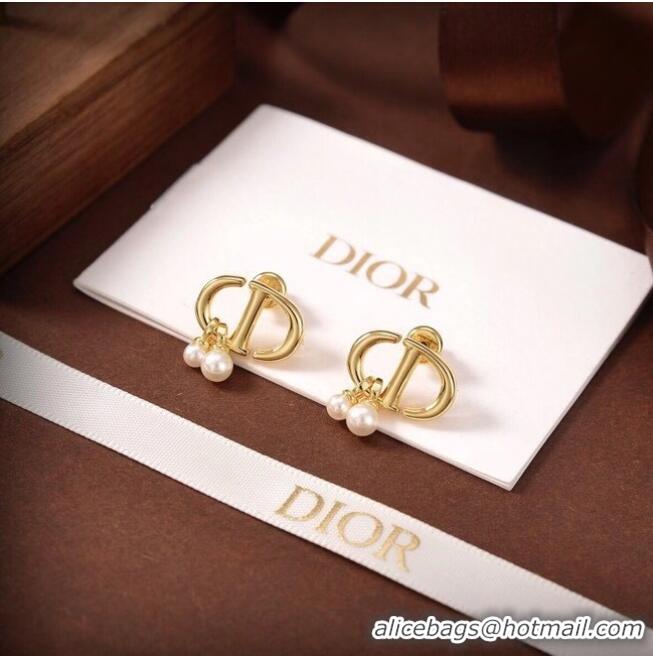 Luxury Classic Dior Earrings CE6480