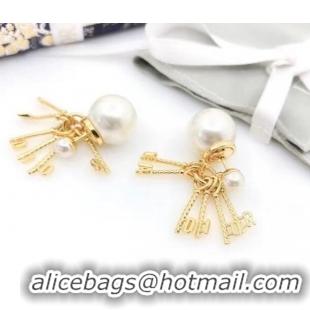 Best Quality Dior Earrings CE6484