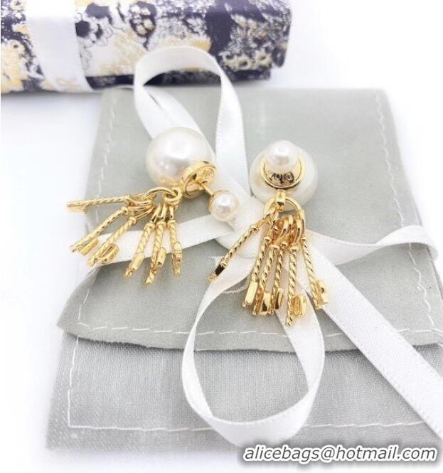 Best Quality Dior Earrings CE6484