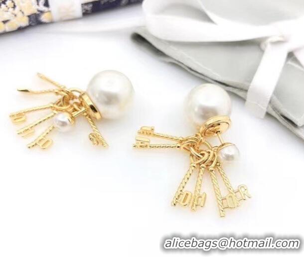 Best Quality Dior Earrings CE6484