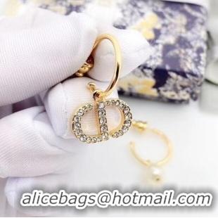 Newly Launched Dior Earrings CE6485