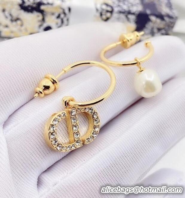 Newly Launched Dior Earrings CE6485