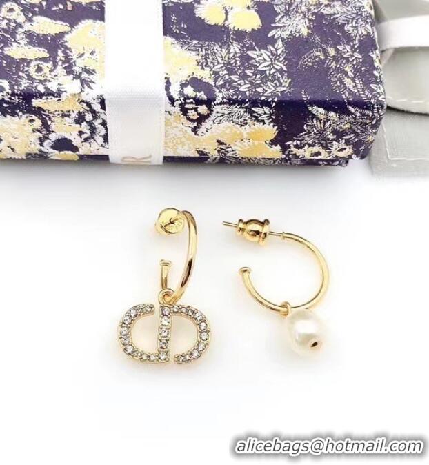 Newly Launched Dior Earrings CE6485