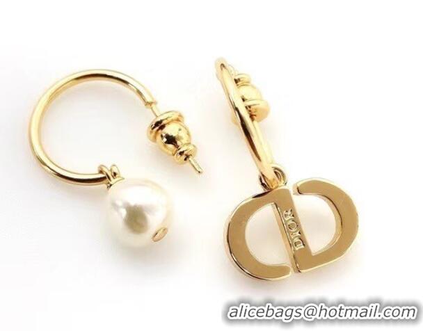 Newly Launched Dior Earrings CE6485