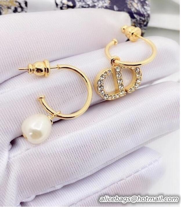 Newly Launched Dior Earrings CE6485