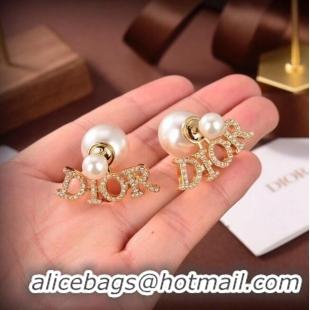 Good Product Dior Earrings CE6486