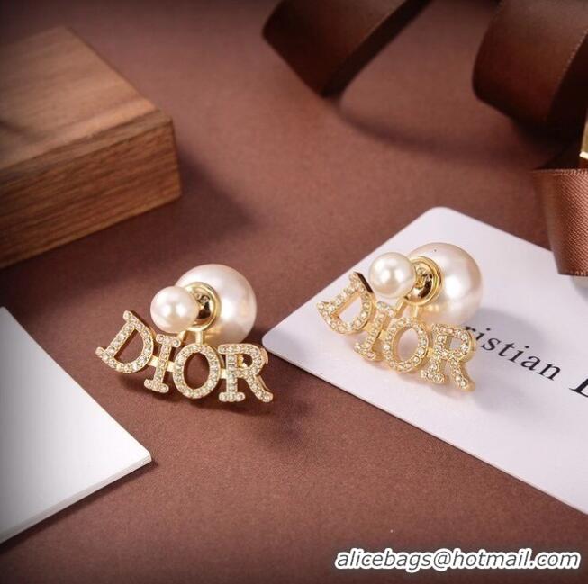 Good Product Dior Earrings CE6486