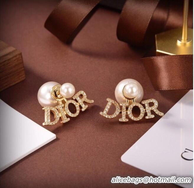 Good Product Dior Earrings CE6486