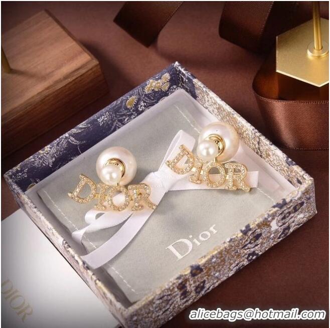 Good Product Dior Earrings CE6486