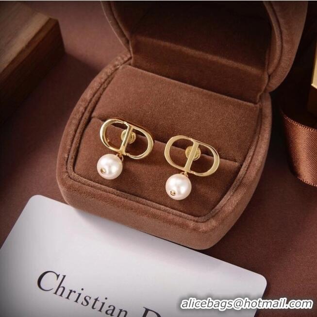 New Fashion Discount Dior Earrings CE6487