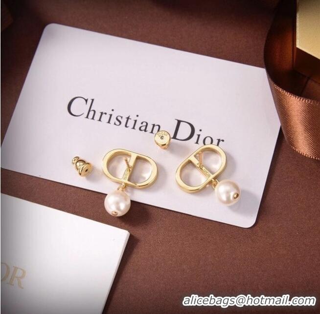 New Fashion Discount Dior Earrings CE6487