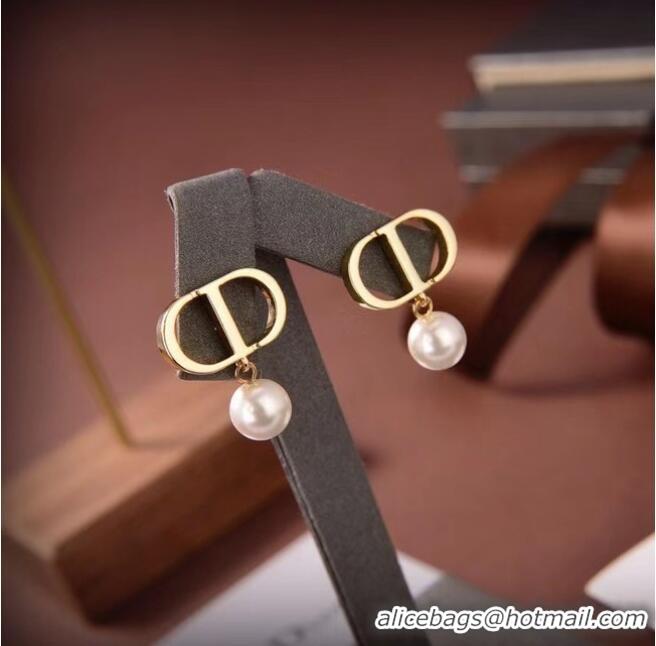 New Fashion Discount Dior Earrings CE6487