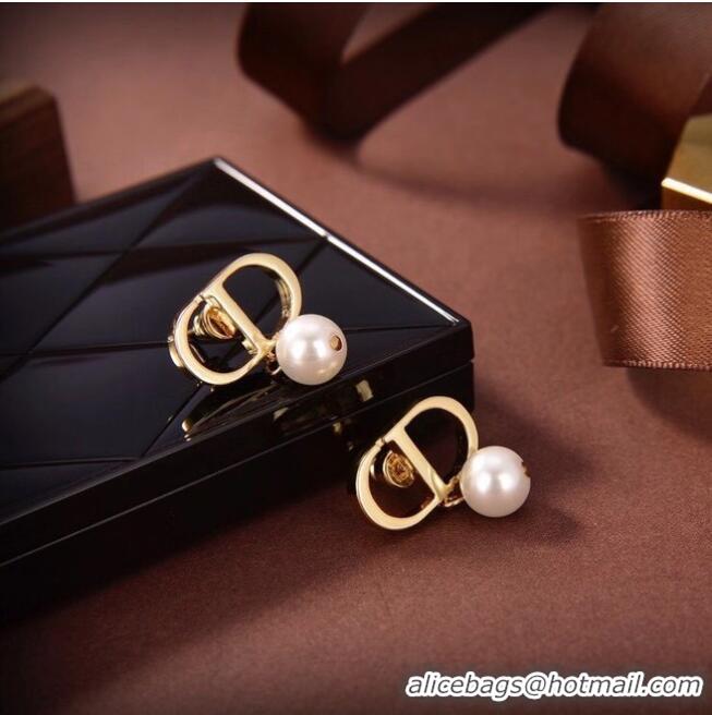 New Fashion Discount Dior Earrings CE6487