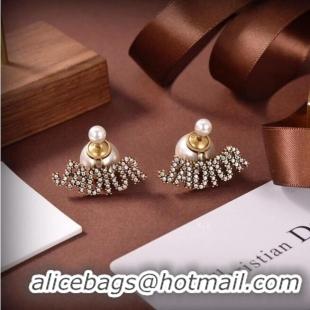 Traditional Specials Dior Earrings CE6488