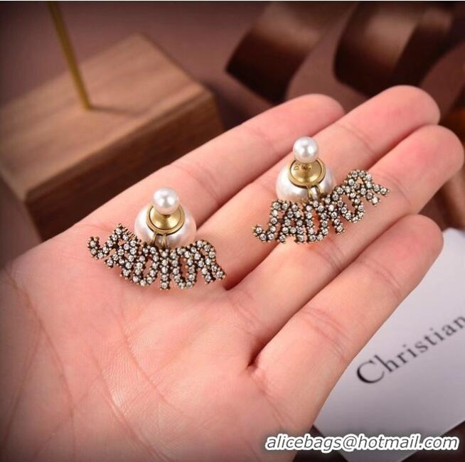 Traditional Specials Dior Earrings CE6488