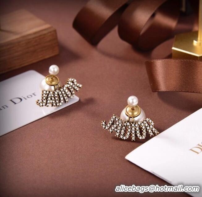 Traditional Specials Dior Earrings CE6488