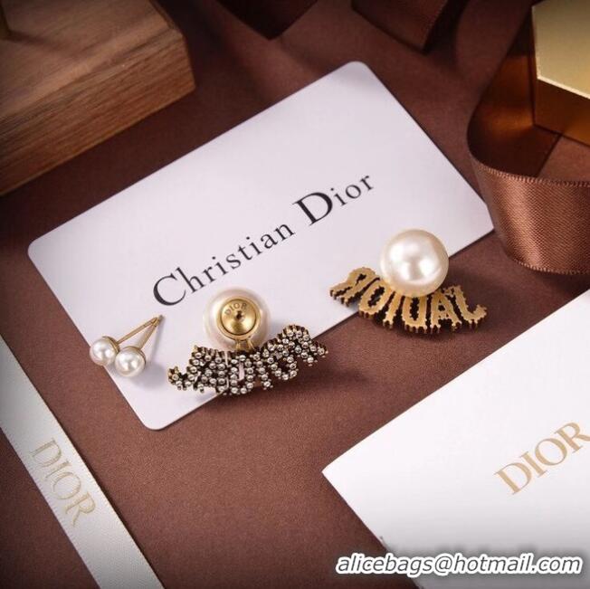 Traditional Specials Dior Earrings CE6488