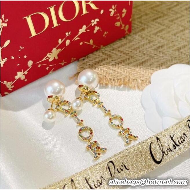 Fashion Discount Dior Earrings CE6490