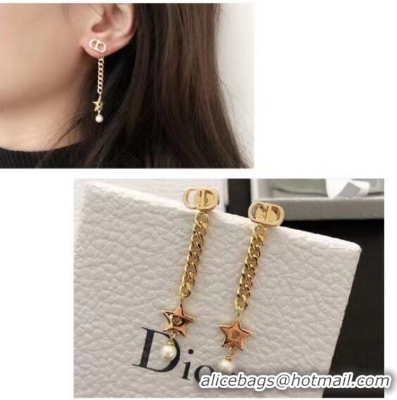 Best Quality Dior Earrings CE6492