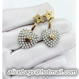 Modern Classic Cheap Dior Earrings CE6493