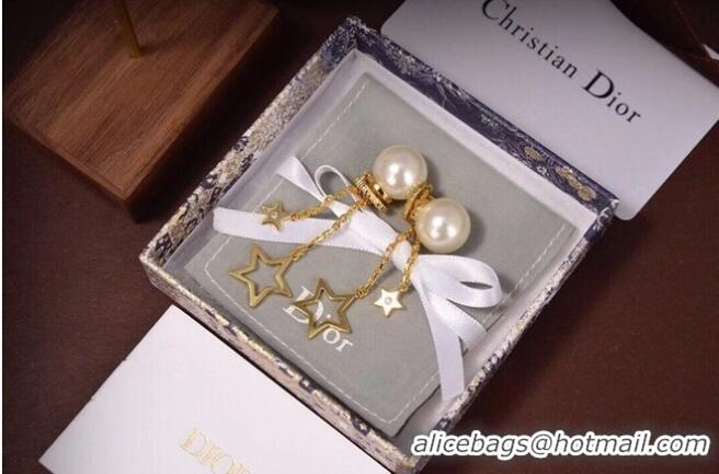 Buy Cheapest Dior Earrings CE6494