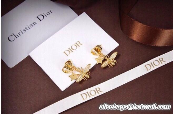 Discount Classic Dior Earrings CE6495