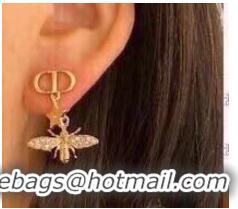 Discount Classic Dior Earrings CE6495