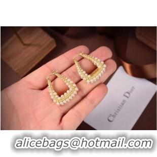 Luxury Cheap Dior Earrings CE6497