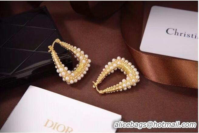 Luxury Cheap Dior Earrings CE6497