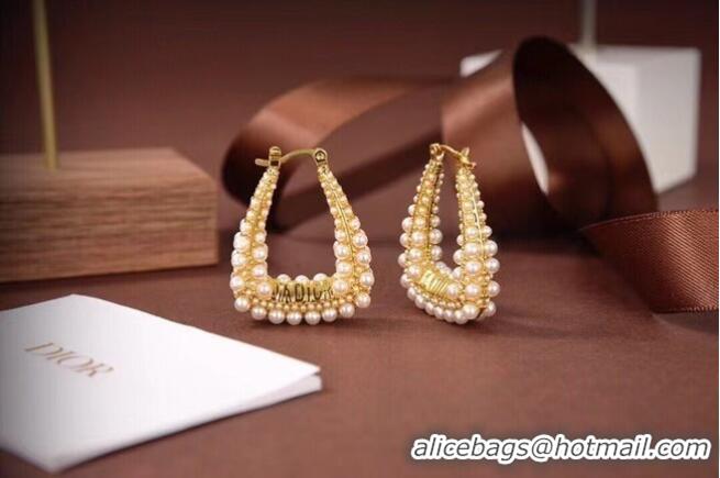 Luxury Cheap Dior Earrings CE6497