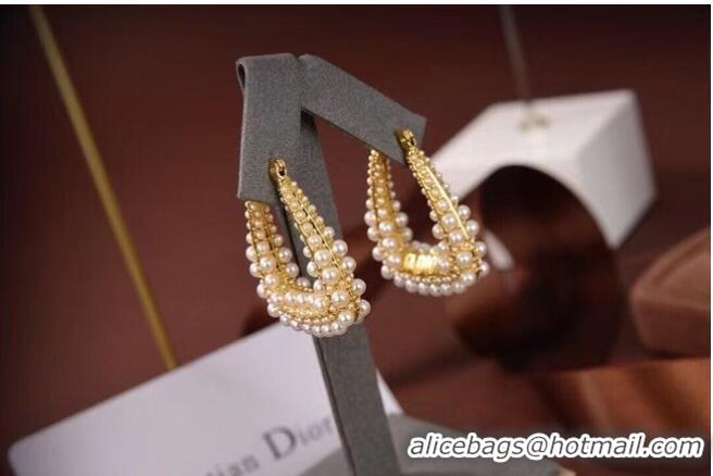 Luxury Cheap Dior Earrings CE6497