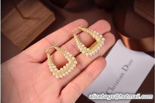 Luxury Cheap Dior Earrings CE6497