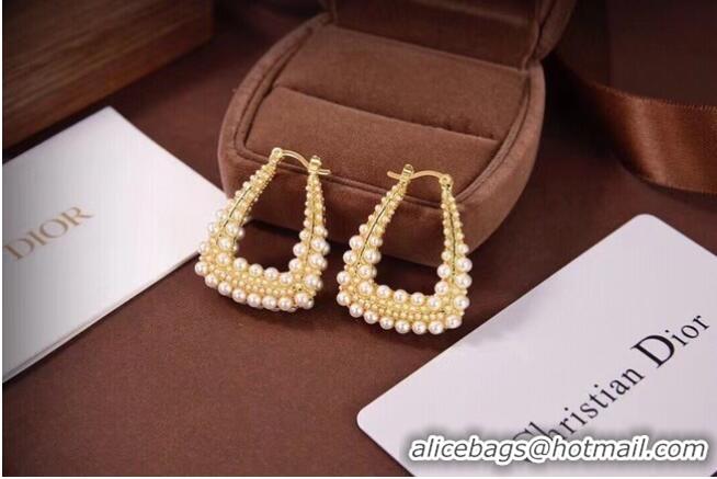 Luxury Cheap Dior Earrings CE6497