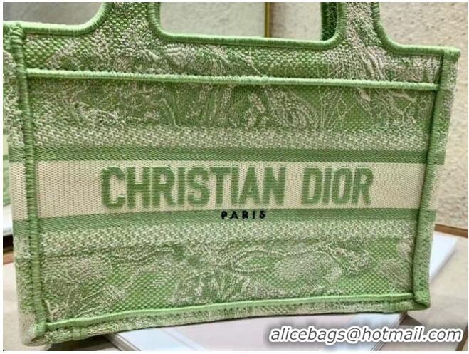 Cheapest MINI DIOR BOOK TOTE Embroidery S5475Z Green