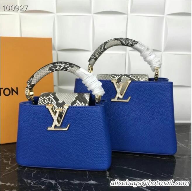 Top Quality Louis Vuitton CAPUCINES MINI M99676 Blue