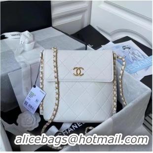 Buy Fashionable Chanel small hobo bag AS2543 AS2542 White