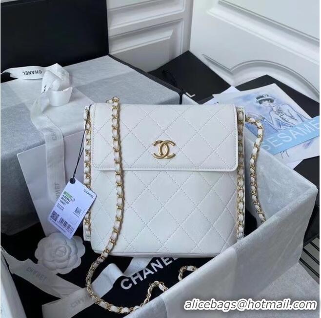 Buy Fashionable Chanel small hobo bag AS2543 AS2542 White