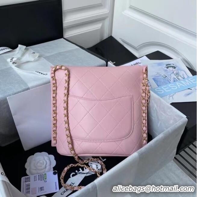 Cheap Discount Chanel small hobo bag AS2543 AS2542 Pink