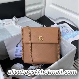 Fashion Discount Chanel small hobo bag AS2543 AS2542 Brown