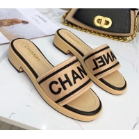 Best Luxury Chanel Canvas Striped Slide Sandals G34826  Beige 2021