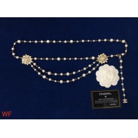 Sumptuous Top Quality Chanel Necklace CE6408