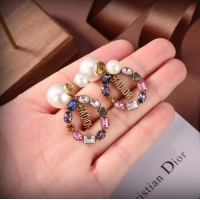 Buy Discount Dior Earrings CE6465