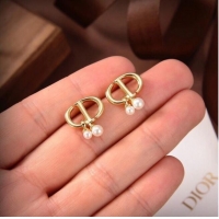 Luxury Classic Dior Earrings CE6480